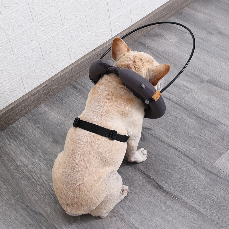 Dog Anticollision Coil Ring Pet Collar