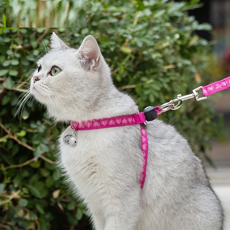 Pet Cat Bell Chest Strap Leash