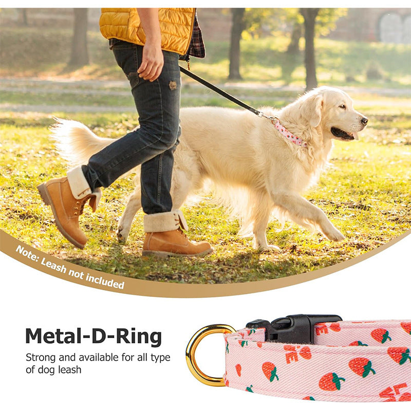 Adjustable Dog Collar For Traction