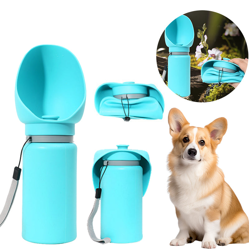 Portable waterbottle with bowl