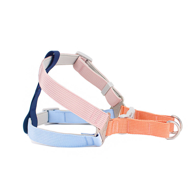 Colorful Outdoor Chest Leash Pet Supplies